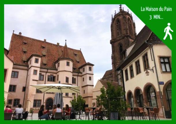 Aux Plaisirs D'Alsace Centre Historique Apartment Selestat Ngoại thất bức ảnh