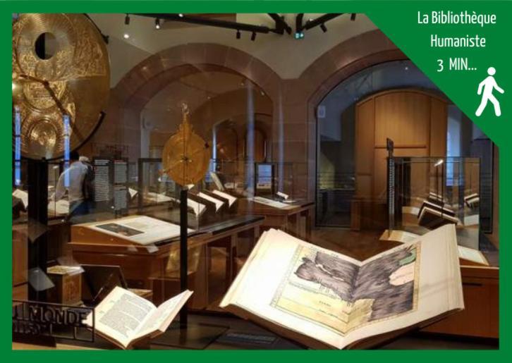 Aux Plaisirs D'Alsace Centre Historique Apartment Selestat Ngoại thất bức ảnh