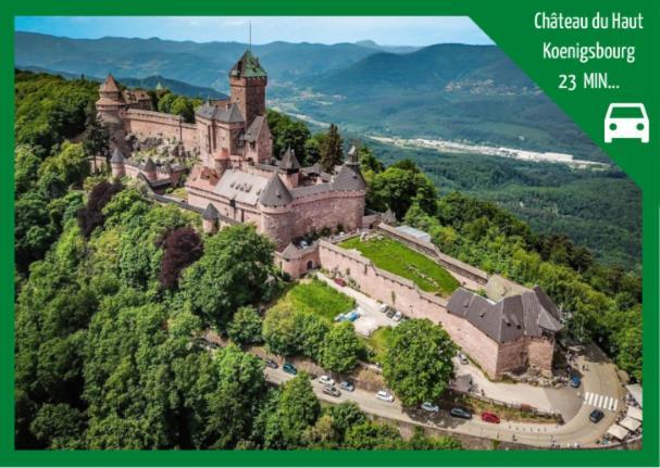 Aux Plaisirs D'Alsace Centre Historique Apartment Selestat Ngoại thất bức ảnh