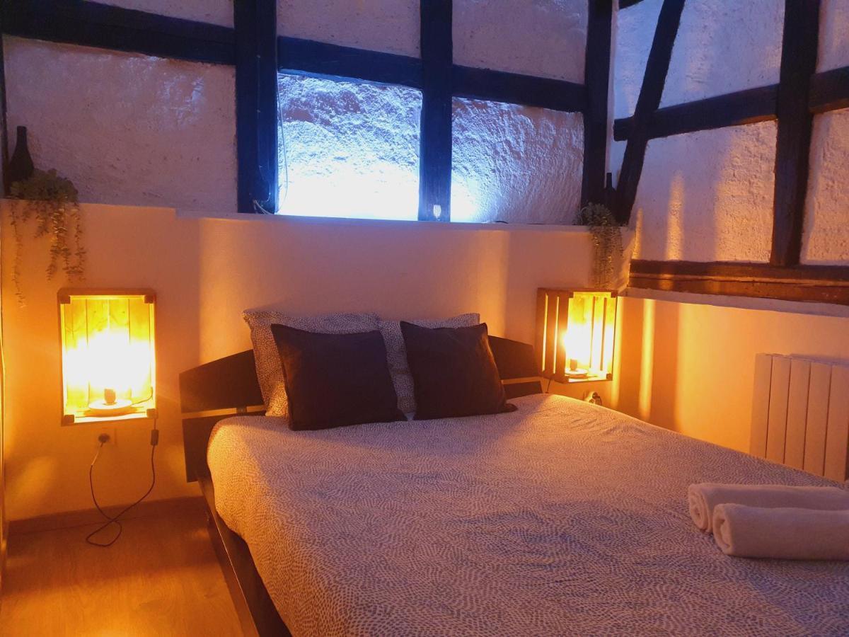 Aux Plaisirs D'Alsace Centre Historique Apartment Selestat Ngoại thất bức ảnh