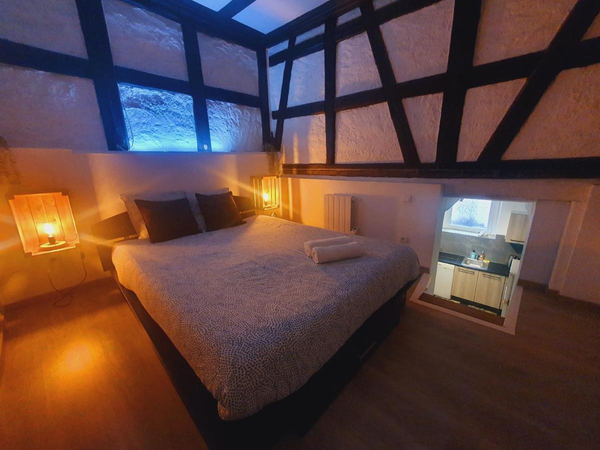 Aux Plaisirs D'Alsace Centre Historique Apartment Selestat Ngoại thất bức ảnh